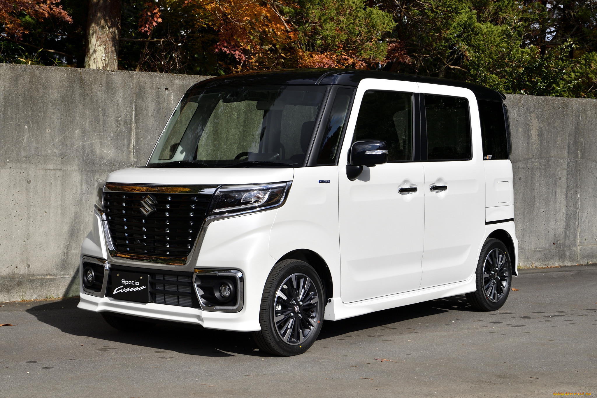 , suzuki